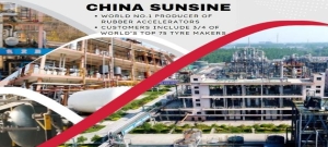 CHINA SUNSINE: Here's a deep dive into a consistently profitable company that currently trades at ex-cash PE of 1