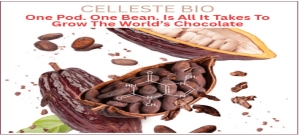 TRENDLINES' World First: Chocolate Made With Cocoa Butter From a Lab