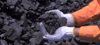 images/stories/GoldenEnergy/coal_hand_pic.png
