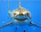 images/stories/Andrew_Mar12/shark_bluelyn.jpg