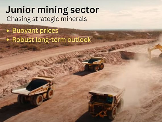 junior mining4.23