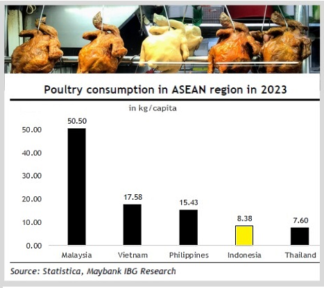 Indon chickenconsume1.25